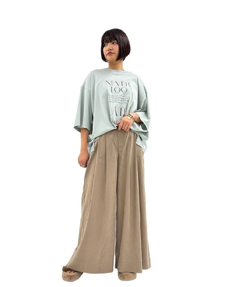 ayane<br>ドッキングバックギャザーTシャツ