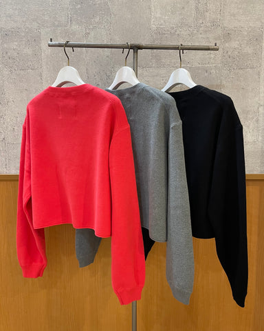 10月5日ライブ<br>PASSIONEショートニット